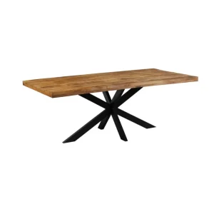 IDE - Rechtehoekig Tafel Spider – Massief - 160x100x76cm | Belga Meubelen Sale