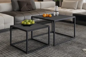 Rousseau - Salontafel Quinn 2-delig Mango hout Zwart - 45x65x65cm | Belga Meubelen Hot