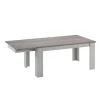 TYC - Eettafel Oakley - Uitschuifbaar - Grijze Eik/Donkere Eik - Twee afmetingen - 170/220x76x90cm | Belga Meubelen Hot